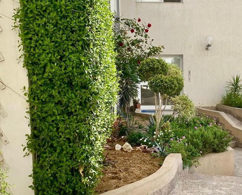 Casa Charm Falaise Monastir Esterno foto